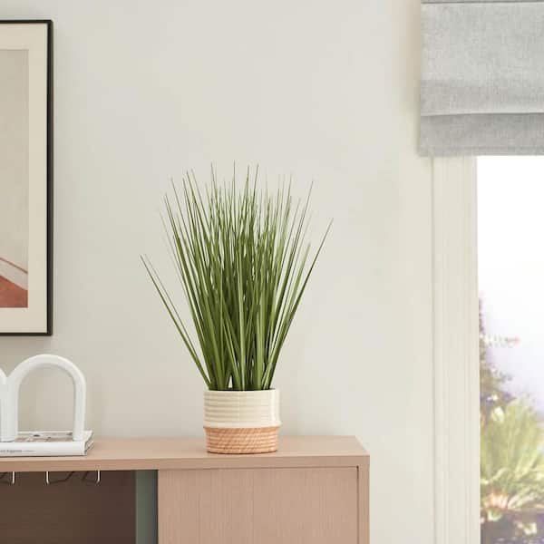 Unbranded Sophisticated 20 in. Green Artificial Onion Grass in Ceramic Pot