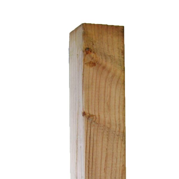 Unbranded Pressure-Treated Timber #2 Hi-Bor (Common: 4 in. x 4 in. x 8 ft.; Actual: 3.56 in. x 3.56 in. x 96 in.)