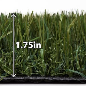 Tundra 15 ft. Wide x Cut to Length Kentucky Grass Artificial Grass Turf