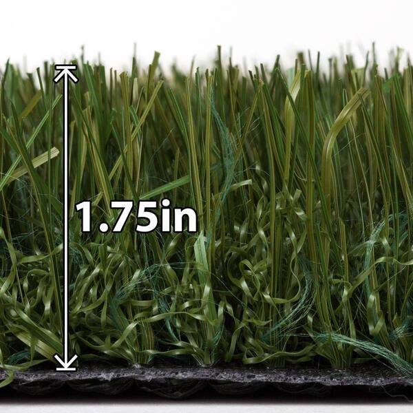 TrafficMaster Tundra 15 ft. Wide x Cut to Length Kentucky Grass