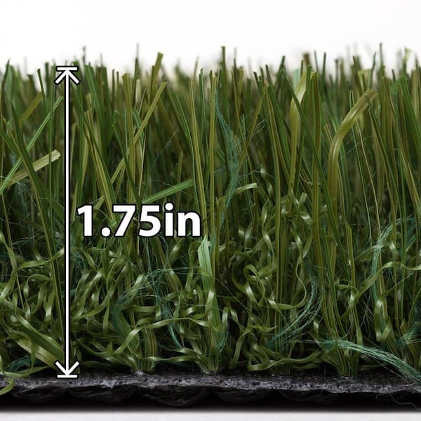 TrafficMaster Tundra Kentucky Grass Artificial Turf 7-1/5 ft. x Your Choice Length