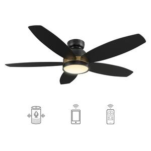 ankee smart fan