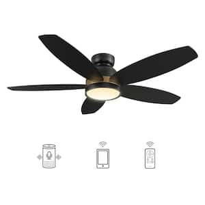 Levi 48 in. Dimmable LED Indoor/Outdoor Black Smart Ceiling Fan with Light and Remote, Works with Alexa/Google Home