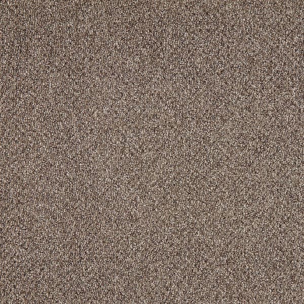 TrafficMaster Moss Peak  - Clock Tower - Brown 15 ft. 31 oz. Polyester Pattern Installed Carpet