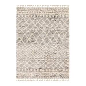Caspian Gray 8 ft. x 10 ft. Moroccan Area Rug
