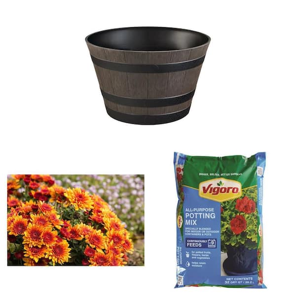 Cameron 22 in. Brown Resin Planter, 6 in. Mum Plant (2-Pack) and 32 qt. Potting Soil Mix