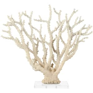 8 in. x 23 in. Cream Polystone Coral Sculpture with Clear Acrylic Base
