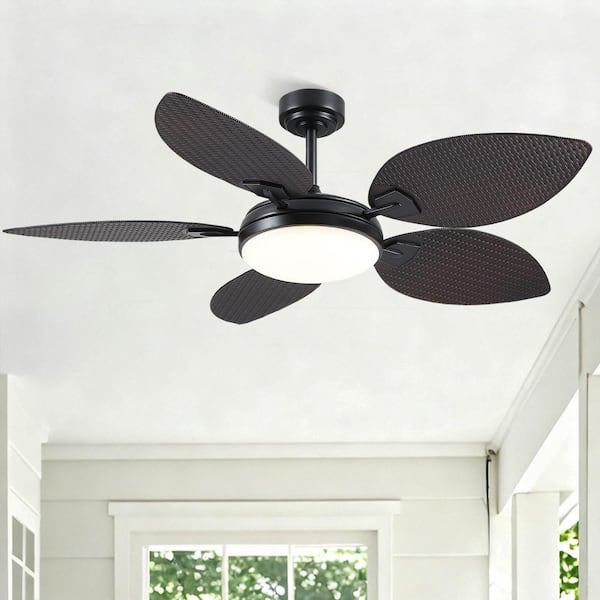 Kviflon 52 in. Indoor/Outdoor Black Brown 5 Palm Leaf Shaped