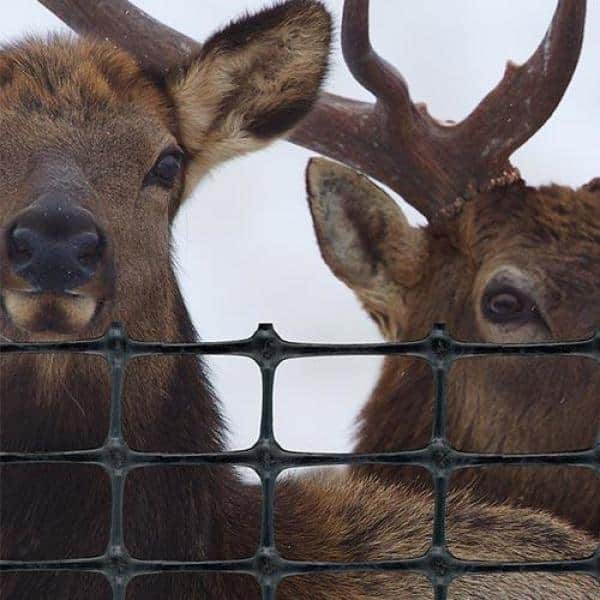 4' x 100' Deer Dog Animal Fence Tenax C-Flex Heavy Duty Garden Fencing 