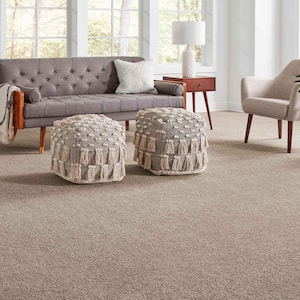 Phenomenal II  - Americana - Brown 62.7 oz. Triexta Texture Installed Carpet