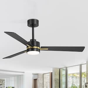 Silvester 52 in. Indoor Black/Gold Ceiling Fan with Color-Changing LED Light, Downrod and Remote Control