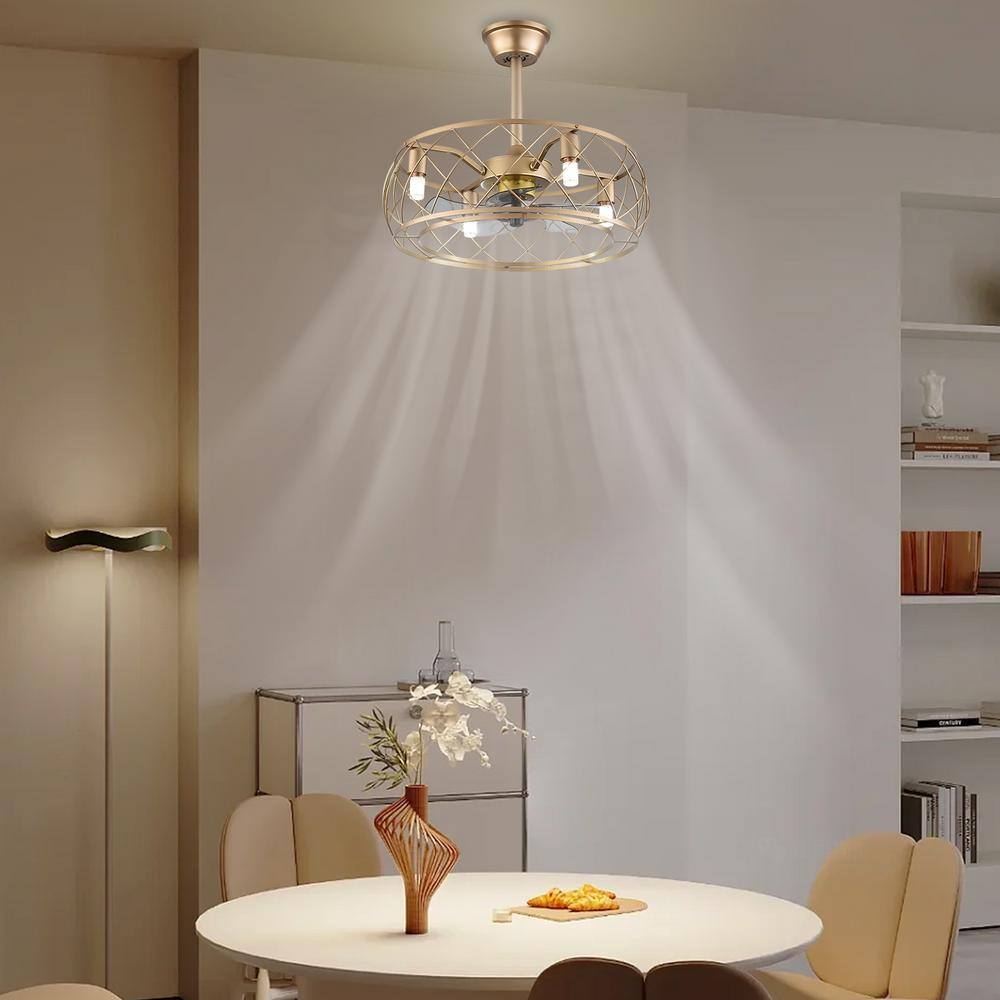 20" Gold Aluminum Caged Ceiling Fan with LED Light and Remote