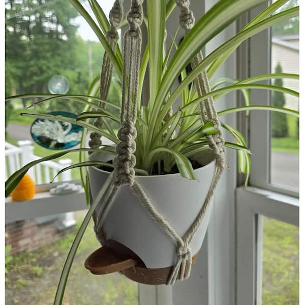 Unbranded Plastic Indoor/Outdoor Hanging Planter with Macrame 3 Different  Size (3-Pack) Z0BFDKFC47