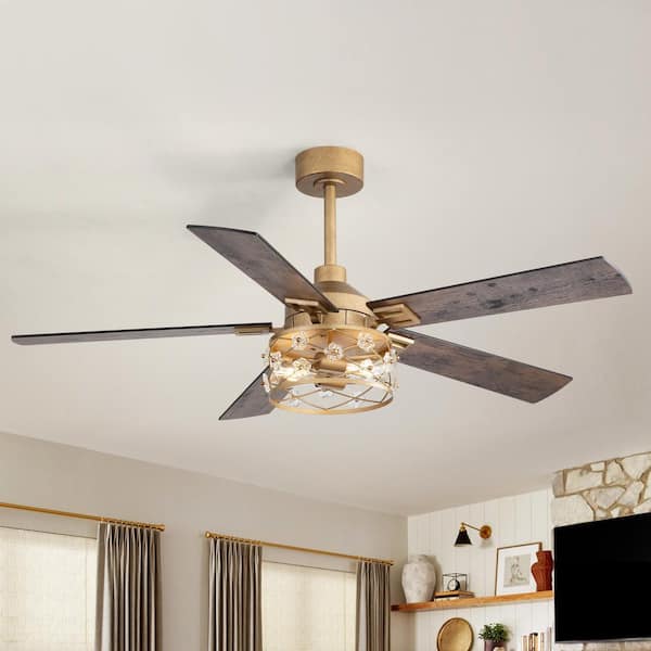 Tottel 52 in. Indoor 2-Light Antique Gold Downrod Ceiling Fan with Light Kit, 5 Black/Brown Blades and Remote Included