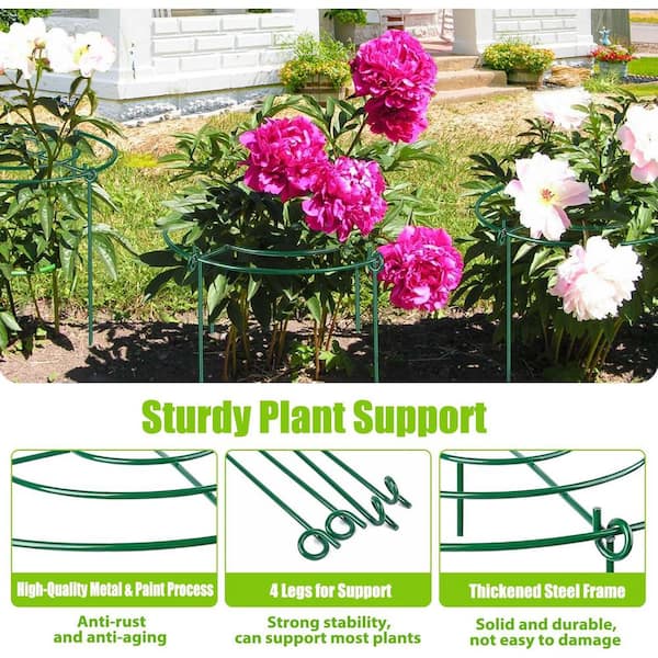 Oyezvary 16 H Green Heavy Duty Metal Peony Cages and Supports