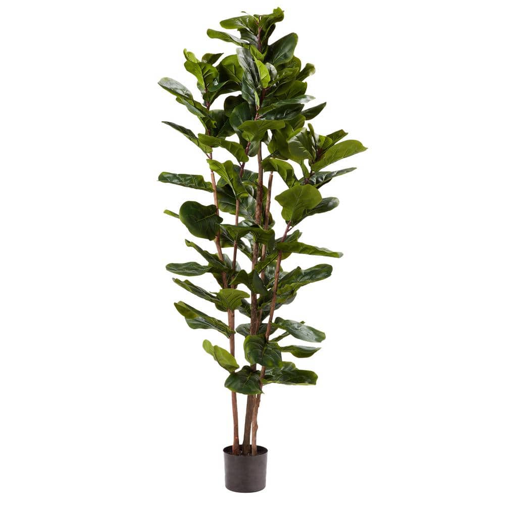 Lush Green 72" Fiddle Leaf Fig Topiary with Lights in Black Plastic Pot
