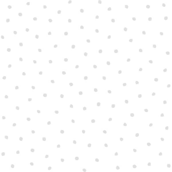 Chesapeake Grey Pixie Dots Wallpaper Matte Non-Pasted Wallpaper Sample