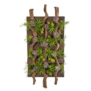41 in. x 19 in. Mixed Succulent Artificial Living Wall