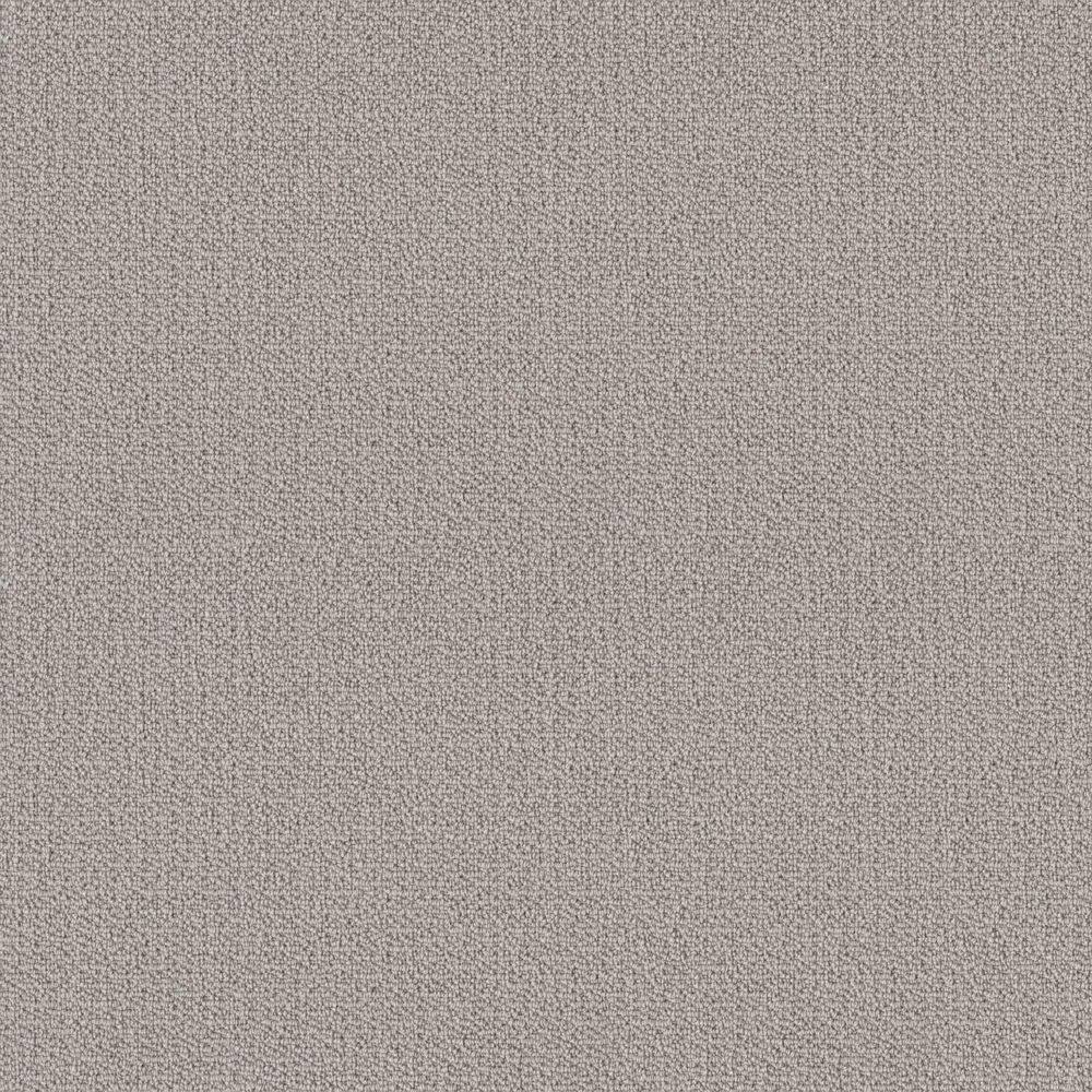 8 in. x 8 in. Loop Carpet Sample - Alluring Abodes - Color Fossil price history on PriceWatchPro