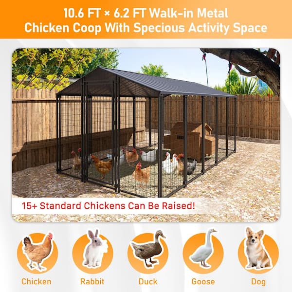 10.6 ft. x 6.2 ft. Outdoor Large Dog Kennel Chicken Coop with Galvanized Metal Roof for Medium and Large Dogs