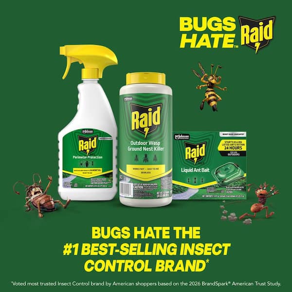 Raid 24 oz Raid Outdoor Wasp Dust 387659 - The Home Depot