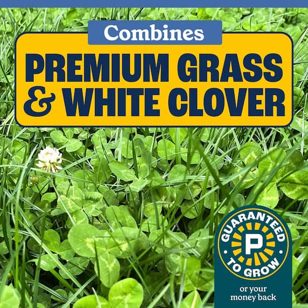 Pennington 7 lbs. Clover and Grass Seed Mix 100552471 - The Home Depot