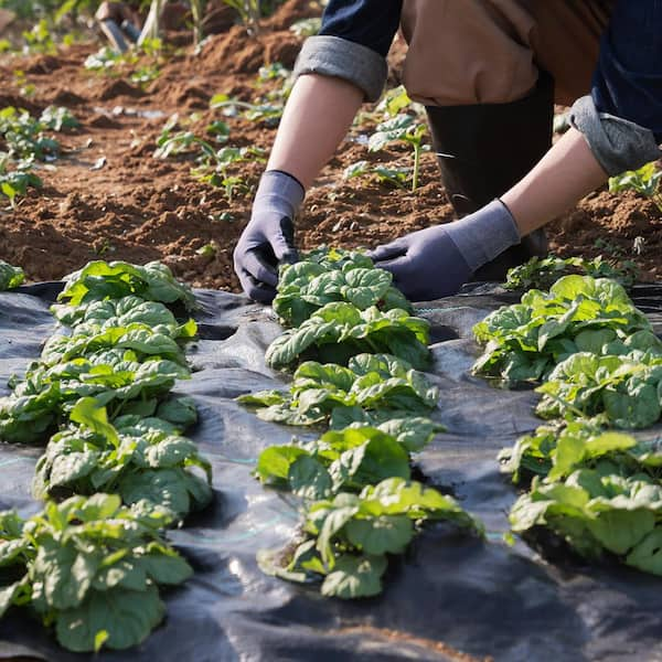 Weed Barrier Landscape Fabric, 4 ft. x 100 ft. Heavy Duty Woven PP, Geotextile for Landscaping, Driveways, Ground Covers