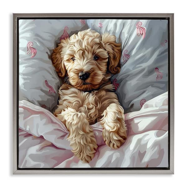 Stupell Industries Nap Time Cuddling Labradoodle by Jim Baldwin Gray Floater Frame Animal Graphic Art Print 18 in. x 18 in.
