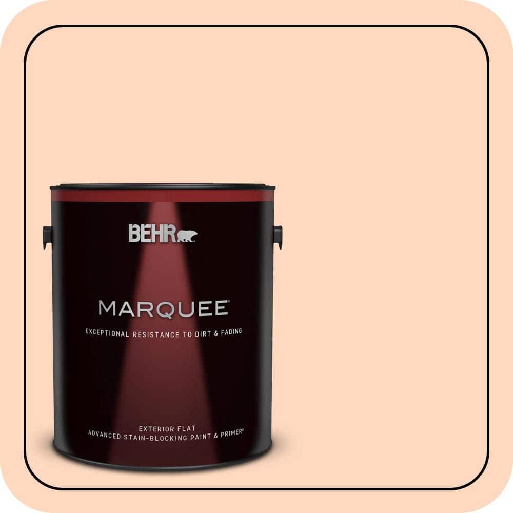 1 gal. #240A-2 Sunkissed Peach Flat Exterior Paint & Primer price history on PriceWatchPro