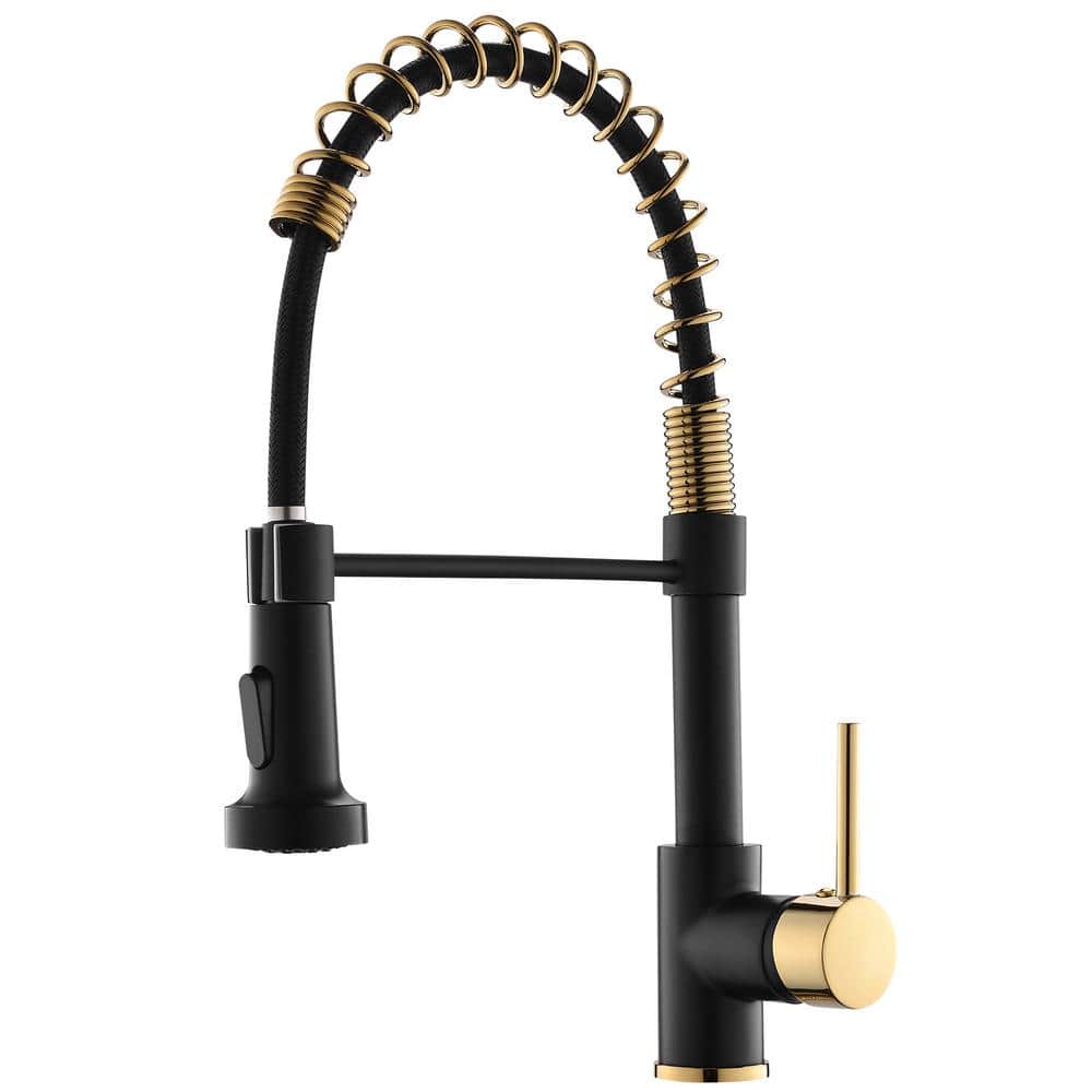 Single Handle Pull-Down Sprayer Kitchen Faucet with Dual Function Spray Hea