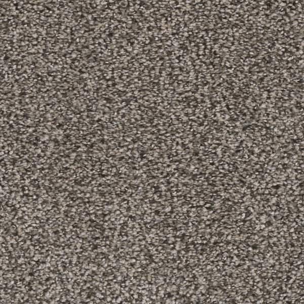 Home Decorators Collection Fall Skies I  - Spiced Latte - Gray 48 oz. SD Polyester Texture Installed Carpet