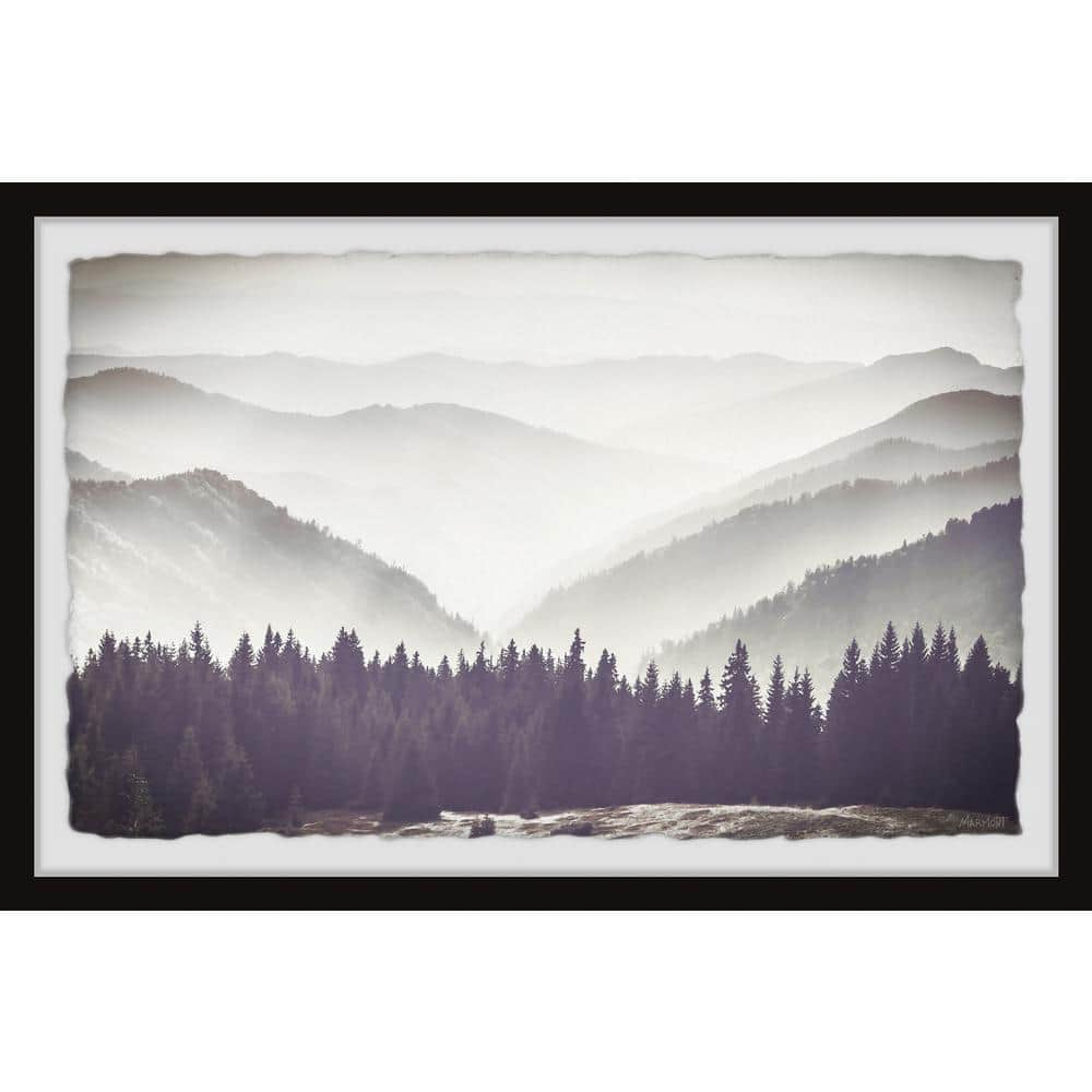 Today Is Your Day by Marmont Hill Framed Nature Art Print 8 in. x 12 in.