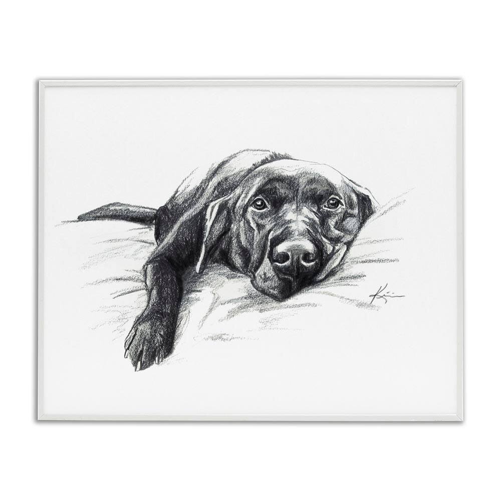 Naptime Black Labrador by Lindsay Kivi Fine Art White Framed Animal Giclee Art Print 16 in. x 20 in. price history on PriceWatchPro