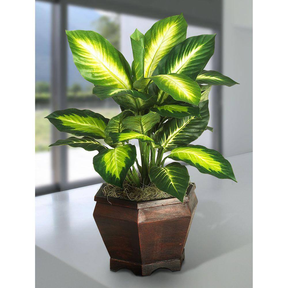 Golden Dieffenbachia Silk Plant with Wooden Vase, 20.5"