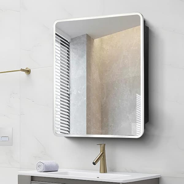 Cesicia 20 in. W x 28 in. H Rectangular Iron Medicine Cabinet with Mirror Wall Mounted or Recessed Mounted