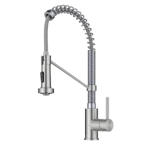 Bolden Single Handle Pull Down Sprayer Kitchen Faucet with Dual Function Sprayhead in Stainless Steel/Chrome