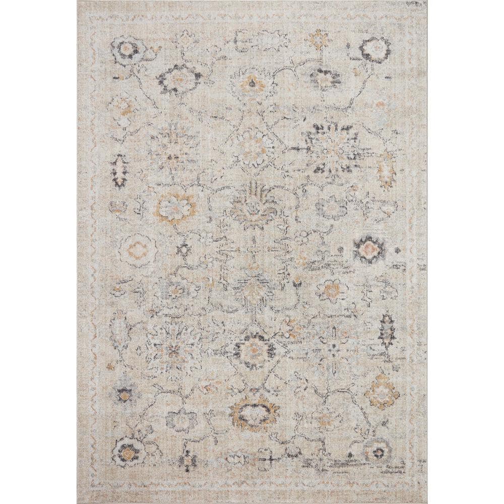 Monroe Natural/Multi 9 ft. 3 in. x 13 ft. Shabby Chic Area Rug price history on PriceWatchPro