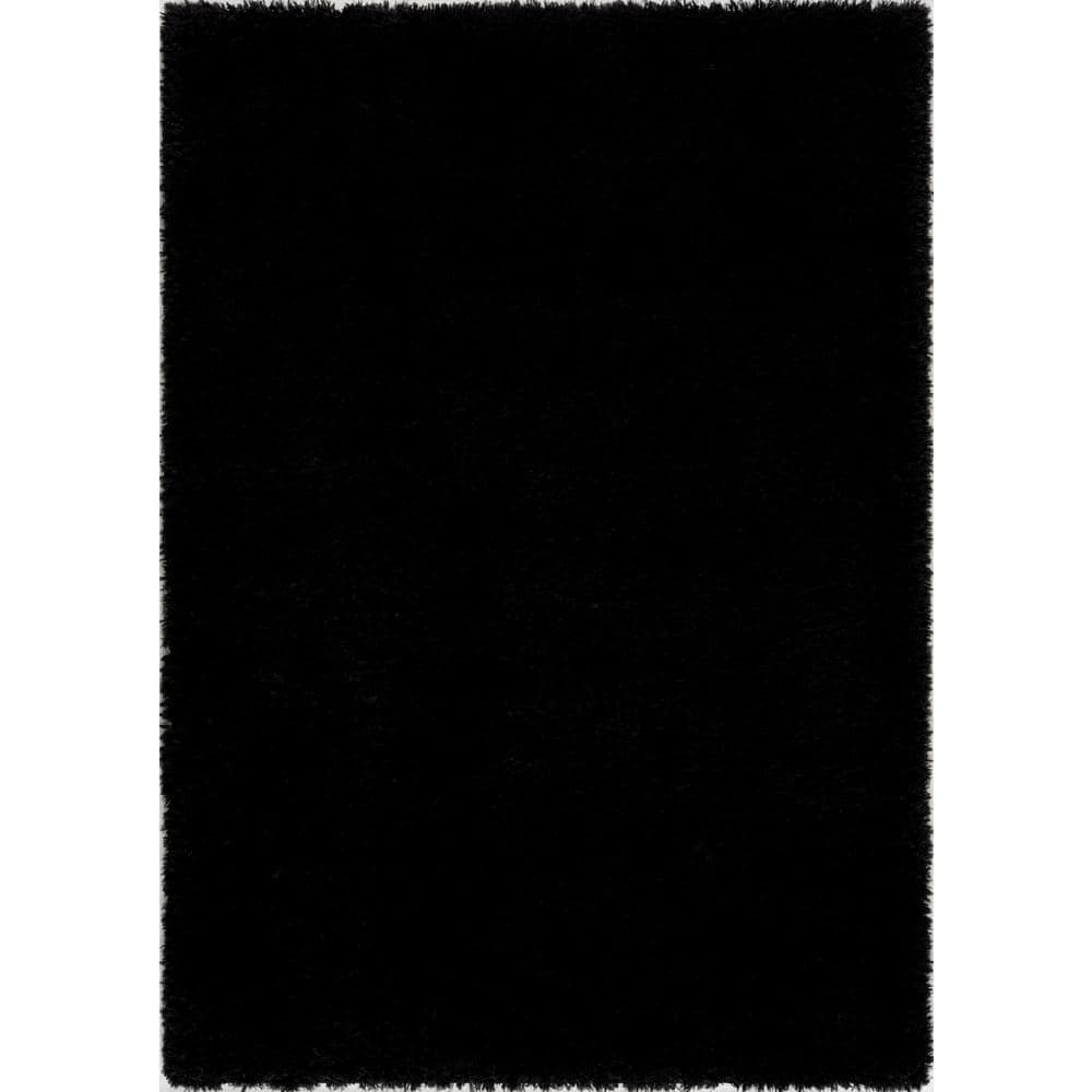 L'Baiet Skylar Black Shag 3 ft. x 5 ft. Area Rug ML654C35 Black The