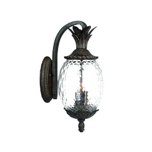 Lanai Collection 3-Light Black Coral Outdoor Wall Lantern Sconce