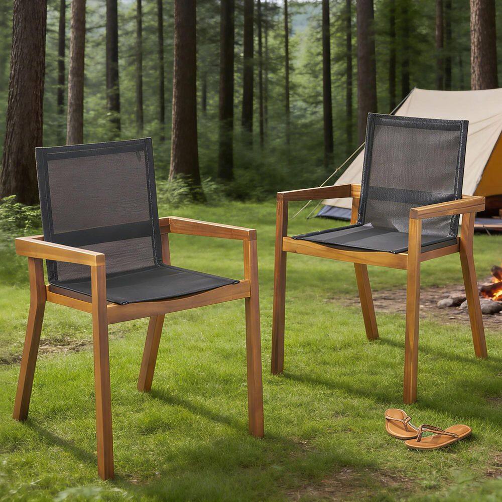 Teak Outdoor Dining Chair Set of 2 price history on PriceWatchPro