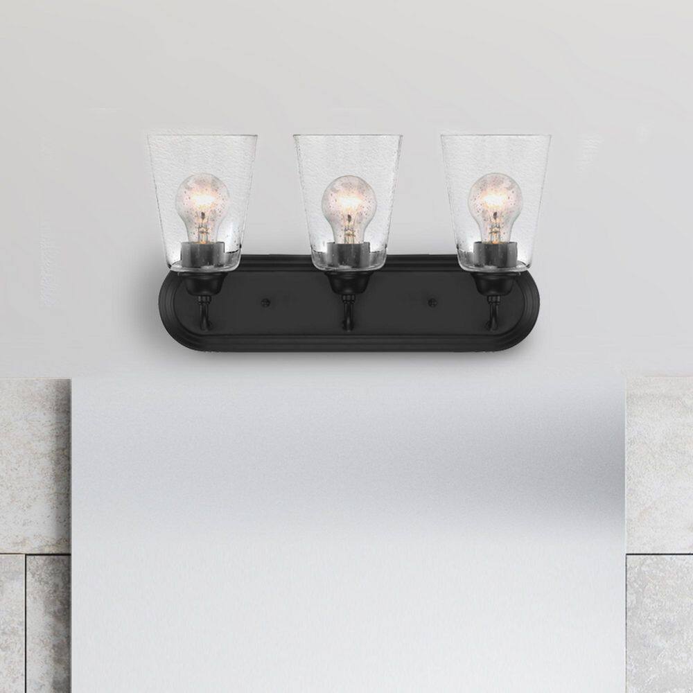 Zane 19 in. 3-Light Matte Black Industrial Vanity Light with Clear Seedy Glass Shades price history on PriceWatchPro