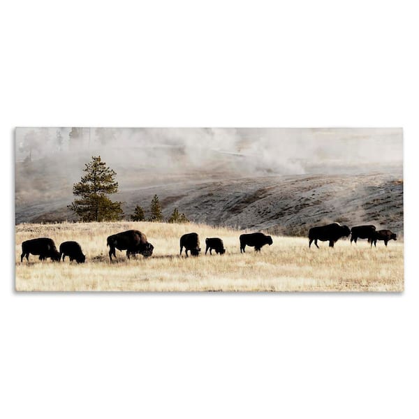 Grazing Bison Foggy Countryside by Danita Delimont Unframed Graphic Art Print Animal 40 in. x 17 in.