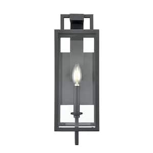 Lamont 1 Light 6 in. Textured Black Outdoor Clear