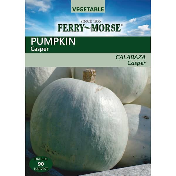 Pumpkin Casper Seed
