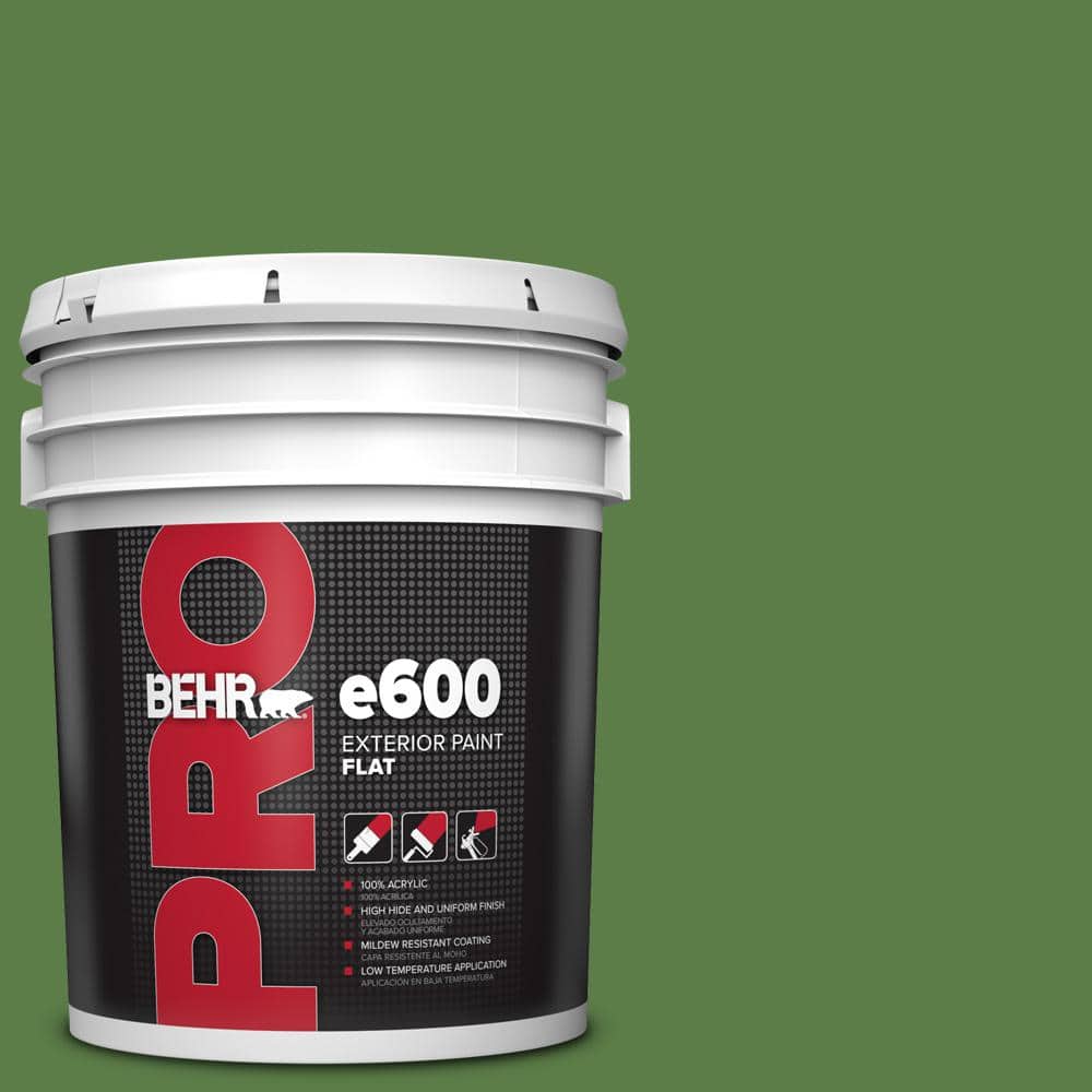 5 gal. #440D-6 Grassy Field Flat Exterior Paint price history on PriceWatchPro