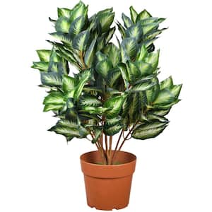 30 in. Artificial Hosta Plant