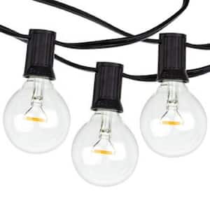 25-Light 25 ft. Outdoor Plug-in Globe LED G40 Bulb String-Light