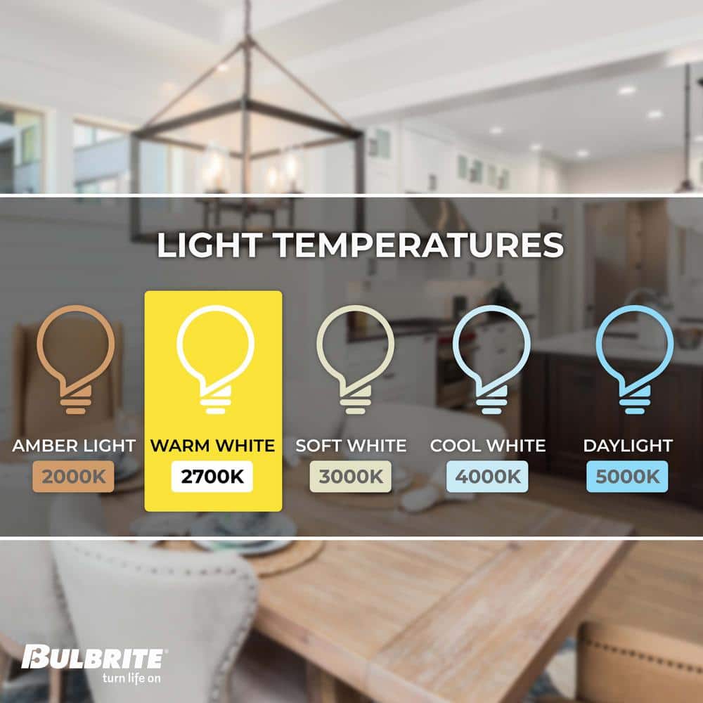 White Dimmable Decorative LED Filament Bulb Set