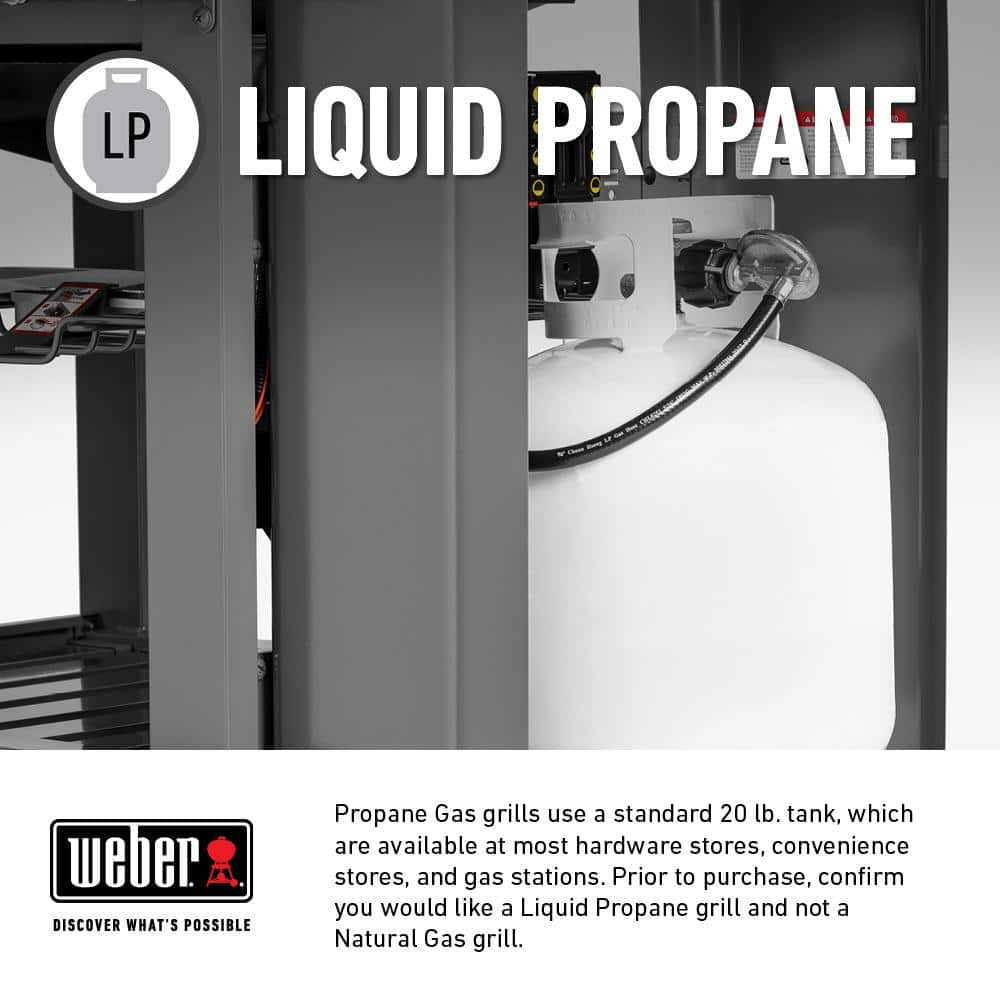 Black 2-Burner Liquid Propane Grill with Porcelain Coated Cast Iron Grates