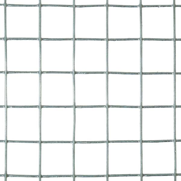 galvanized wire screen